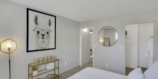 The Modern Gallery 24