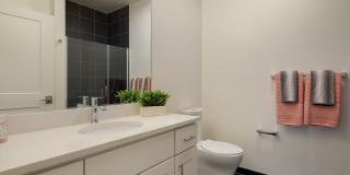 19 East Gallery 22