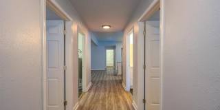 Mockingbird Garden Apartments Gallery 47