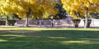 Coral Palms Condominiums Gallery 20