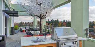 Splash Apartments Gallery 62