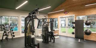 ReNew Dash Point Gallery 51