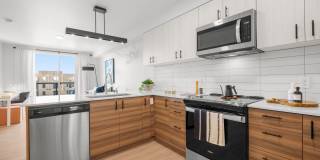 Ion Town Center Gallery 8