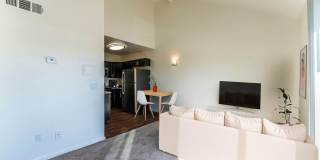 Metro Tucson Gallery 1