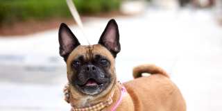 Gramercy At Buckhead Gallery 22