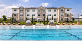 Allora New Forest Gallery 23