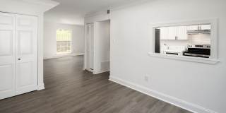 Hidden Colony Gallery 7