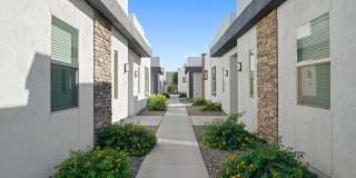 Olive Queen Creek Gallery 20