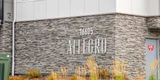 Allegro Lynwood Gallery 28