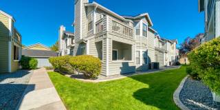 Bristle Pointe Gallery 10