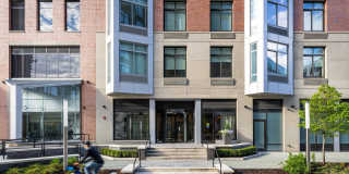 Lenox Gallery 2