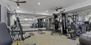 Southtown Flats Gallery 23