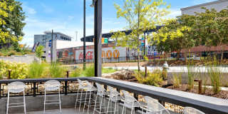 Ellison Parkview Gallery 44