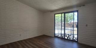 2351 W Placita Algodon Gallery 20