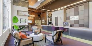 AMLI Buckhead Gallery 24