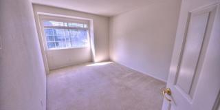201 Yarborough Ln 201 Yarborough Ln Gallery 27