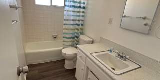 Newly Remodeled 2 bed 1 bath home! Gallery 18