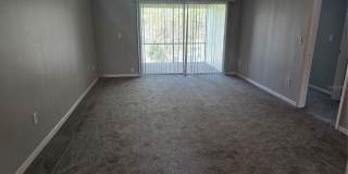 10342 CARROLLWOOD Lane Gallery 3