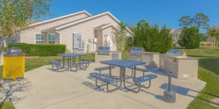 Ariel Springs Gallery 3