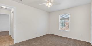 509 Wagner Gallery 33