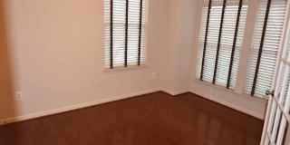 20425 CODMAN Drive Gallery 30