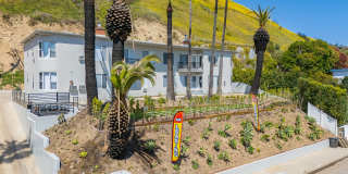 Malibu Cove Apartments Gallery 1