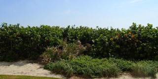 7400 S Ocean Drive Gallery 2