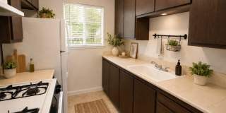 Updated 2 bedroom 1 bath condo in a quiet park like setting with a community pool Gallery 4