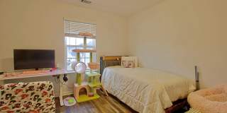 46 Brightleaf Circle Gallery 14