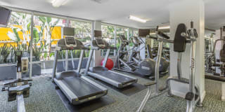 The Vantage Gallery 37