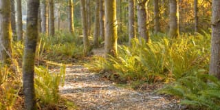 Village at Ten Trails Gallery 37