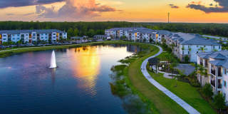 Town Treeline Gallery 14