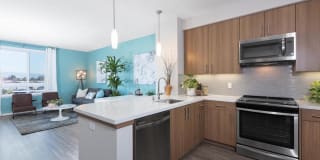 The Standard The Standard Gallery 25