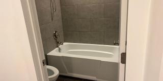 True Beauty! SOLAR Gallery 25