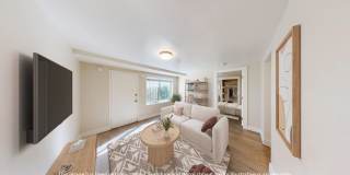 50 Joice 50 Joice Gallery 1