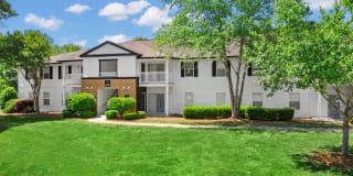 The Murray Gallery 6