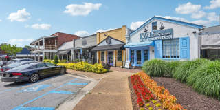Wesley St. James at Sandy Springs Gallery 48