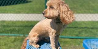 BlueBird Apartments Gallery 27