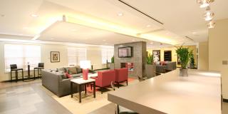 Harmony Oaks Gallery 12