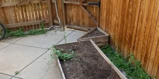 Charming 2 Bed/1.5 Bath Townhome Near Downtown Boulder Gallery 14