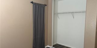 15177 Dandelion Gallery 12