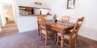 Forest Creek Gallery 4