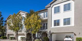 Vintara Apartments Gallery 19