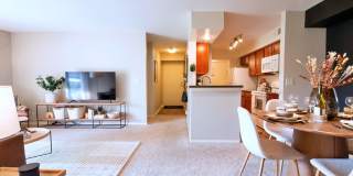 TGM Springbrook Gallery 32