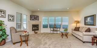 Ridgewood Gallery 25