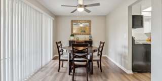 Buena Vista Gallery 20