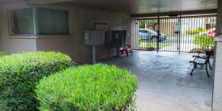 Tropicana Apartments Gallery 10