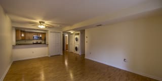 The Davenport Gallery 6