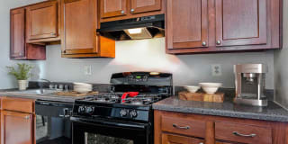 Cavalier Club Gallery 11