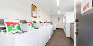 Prospera Village Gallery 28